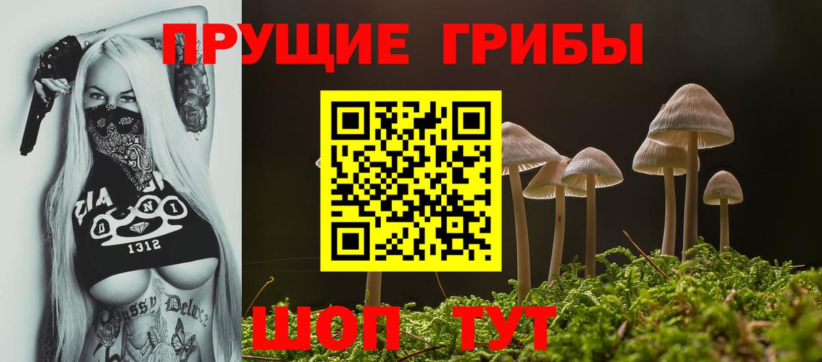 Псилоцибиновые грибы ЛСД  Вход с VPN  Псилоцибиновые грибы GOLDEN TEACHER  Заволжье 